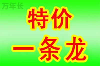 重庆市綦江区公墓选择什么位置？